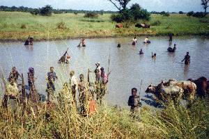 (Photograph of the river with villagers and cattle)